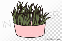 Lush Grassy Long Leaves Pink Pot PNG Plant Clipart Illust Product Image 1