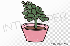 Densely Clustered Succulent Small Brown Pot PNG Plant Illust Product Image 1