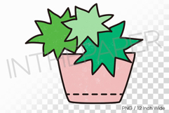 Low Pink Pot Three Star Shaped Succulents PNG Plant Clipart Product Image 1