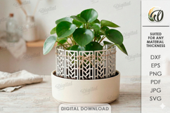 3D Plant Fence Laser Cut. Plant trellis SVG Product Image 1
