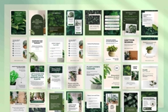 Pinterest Pin Canva Templates For Plant Lovers Product Image 2