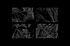 Plastic Wrap Texture Overlays Product Image 2
