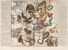 6 Celestial Globe Astrology Tables from 1693 High Resolution Product Image 3