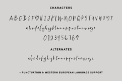 Platespinner Script Product Image 10