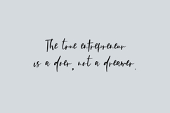 Platespinner Script Product Image 2