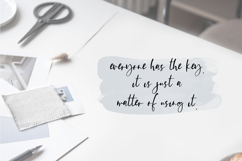 Platespinner Script Product Image 5