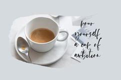 Platespinner Script Product Image 7