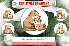 Ornament Platypus Mother&#039;s Day Product Image 1