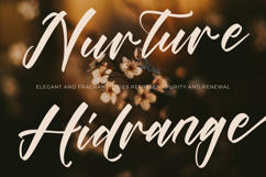 Players Climber - Modern Handwritten Font Product Image 8