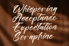 Players Climber - Modern Handwritten Font Product Image 9