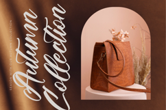 Players Climber - Modern Handwritten Font Product Image 11