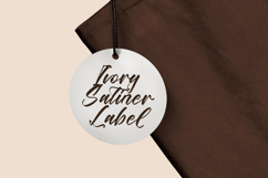 Players Climber - Modern Handwritten Font Product Image 12