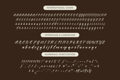 Players Climber - Modern Handwritten Font Product Image 18