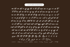 Players Climber - Modern Handwritten Font Product Image 19