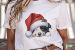 Playful Peeking Dog Breeds Clipart Product Image 2