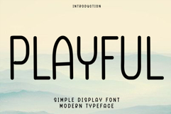 Playful Product Image 1