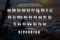 Playfull Product Image 7