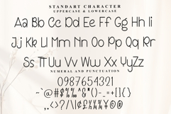 Playing Product Image 5