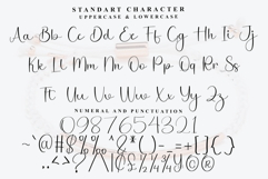 Playlist Product Image 4