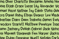 Playola Sans Product Image 8