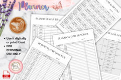Blood Sugar Planner, Digital Health Planner, Health Records Product Image 3