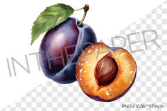 Whole and Half Plum with Pit PNG Clipart Fruit Illustration Product Image 1