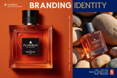 Pluribus - Serif font family Product Image 10