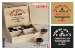 Pluribus - Serif font family Product Image 11