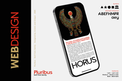 Pluribus - Serif font family Product Image 14