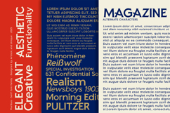 Pluribus - Serif font family Product Image 15