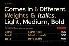 Pluribus - Serif font family Product Image 2
