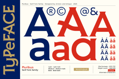 Pluribus - Serif font family Product Image 3