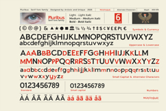 Pluribus - Serif font family Product Image 4