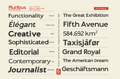 Pluribus - Serif font family Product Image 5