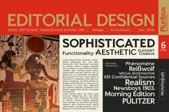 Pluribus - Serif font family Product Image 6