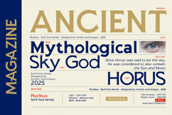 Pluribus - Serif font family Product Image 7