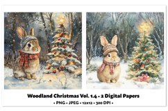 Woodland Christmas Digital Paper Vol.1.4 , 2 PNG and JPEG Product Image 1