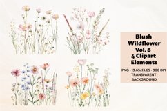 Blush Wildflowers Clipart Vol. 8, 4 PNG Product Image 1