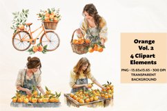 Watercolor Orange Clipart Vol 2 , 4 PNG Files Product Image 1