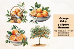 Watercolor Orange Clipart Vol 5 , 4 PNG Files Product Image 1