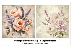Vintage Blooms Digital Paper Vol. 2.3, 2 PNG &amp; JPEG Product Image 1