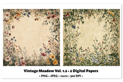 Vintage Meadow Digital Paper Vol. 1.2, 2 PNG &amp; JPEG Product Image 1