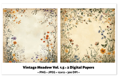 Vintage Meadow Digital Paper Vol. 1.5, 2 PNG &amp; JPEG Product Image 1