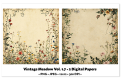 Vintage Meadow Digital Paper Vol. 1.7, 2 PNG &amp; JPEG Product Image 1