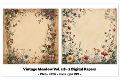 Vintage Meadow Digital Paper Vol. 1.8, 2 PNG &amp; JPEG Product Image 1