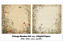 Vintage Meadow Digital Paper Vol. 2.5, 2 PNG &amp; JPEG Product Image 1