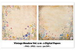 Vintage Meadow Digital Paper Vol. 2.10, 2 PNG &amp; JPEG Product Image 1
