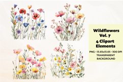 Wildflowers Clipart Vol. 7, 4 PNG Product Image 1