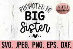 Promoted To Big Sister SVG - Big Sister In Training SVG Product Image 1