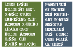 PN Amazonian Product Image 4